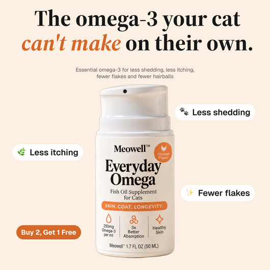 Everyday Omega